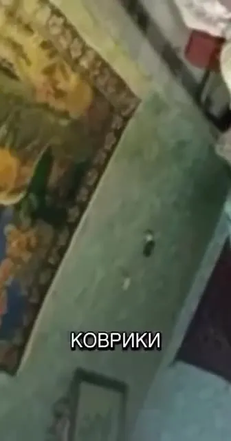 Трёхкомнатная квартира мечты