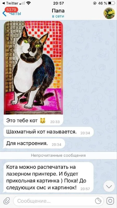 Папа прислал шахматного кота
