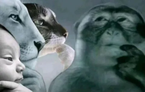 Эволюция взгляда на жизнь