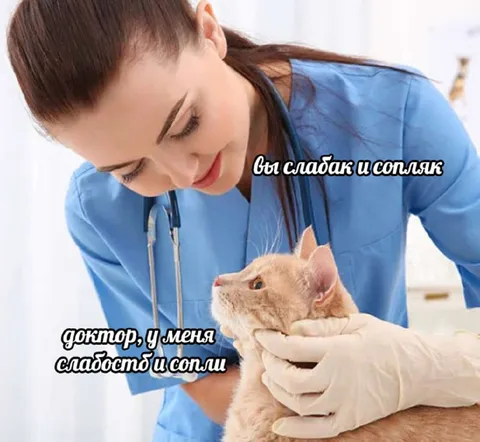 Кот жалуется на слабость и сопли