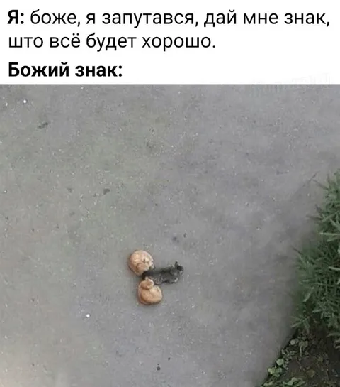 Божий знак на доріжці