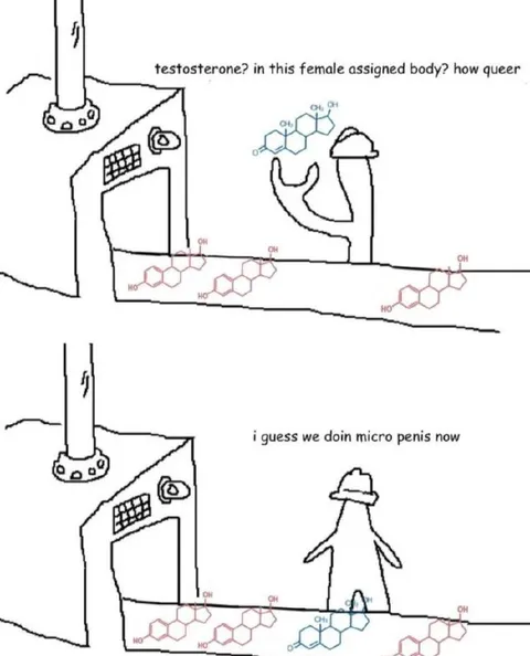 Testosterone in a Female Assigned Body