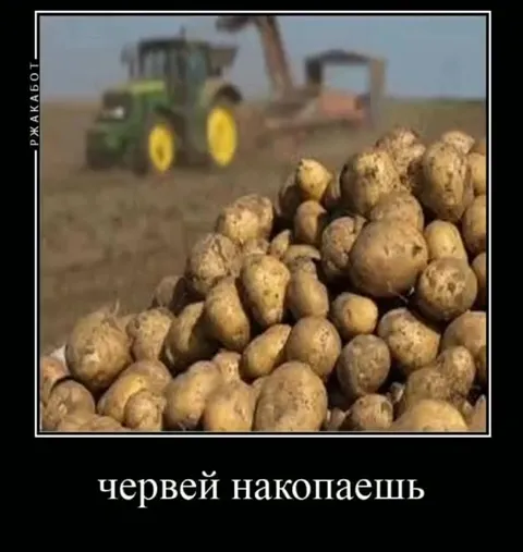 Деду звонит и ругается
