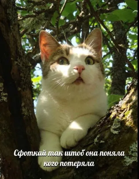 Сфоткай так чтоб она поняла