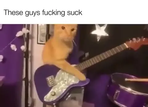 These Guys Fucking Suck Cat Band