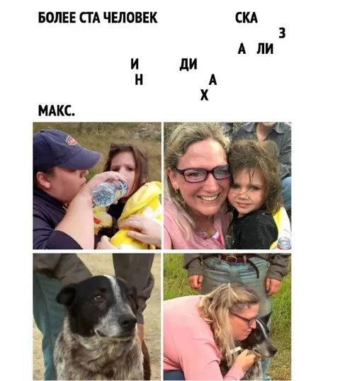 Более ста человек искали Макса