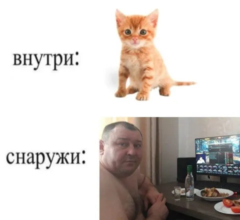 Внутри котёнок, снаружи мужик