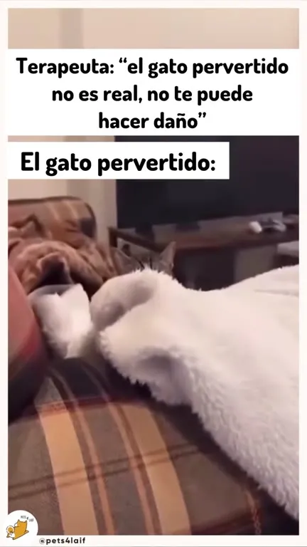 El gato pervertido no es real
