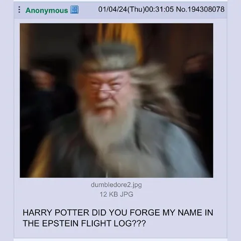 Dumbledore Epstein Flight Log Accusation