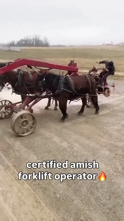 Amish Horse-Powered Forklift