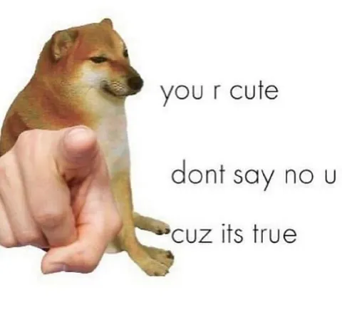 You R Cute Doge