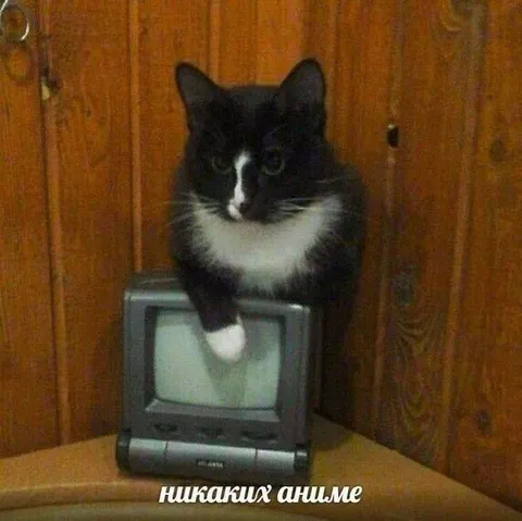 Никаких аниме