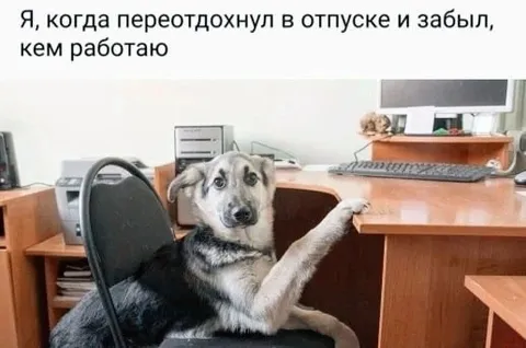 Собака забыла, кем работает