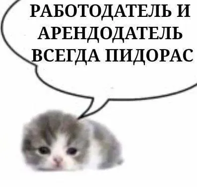 Работодатель и арендодатель пидорас