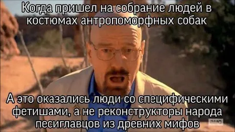 Собрание костюмов антропоморфных собак