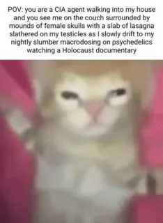 CIA Agent Finds a Disturbing Scene