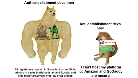 Anti-Establishment Devs Then and Now