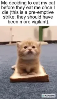 Cat Launches a Preemptive Strike