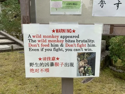 Wild Monkey Warning Sign