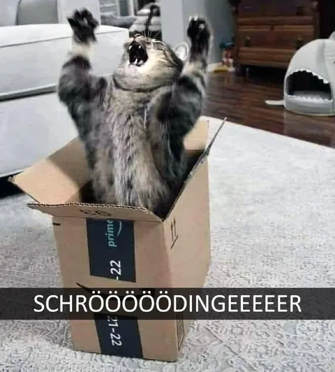 Schrödingers Katze im Karton