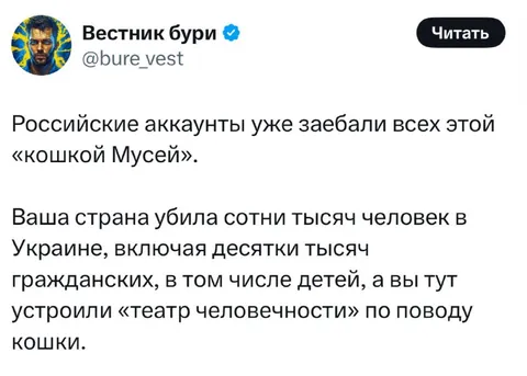 Театр человечности по поводу кошки