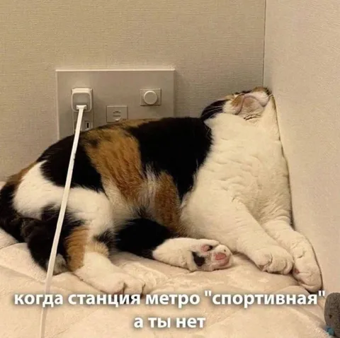 Когда метро спортивная, а ты нет