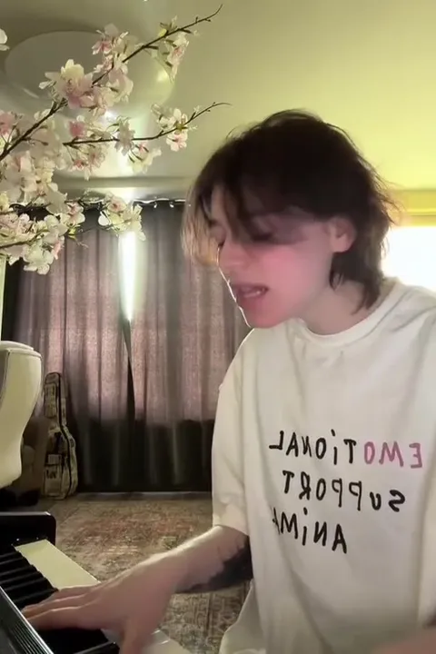 Emotional Support Animal Piano Cover