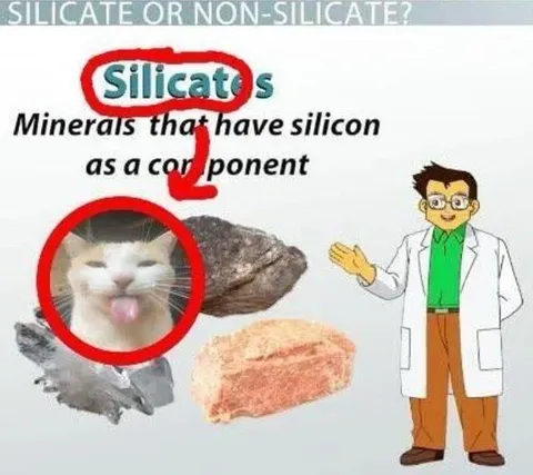 Silicate or Non-Silicate