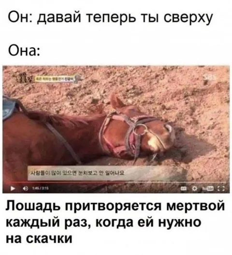 Лошадь притворяется мёртвой