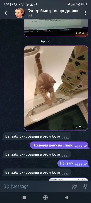 Кот заблокировал в боте