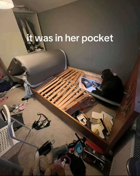 It Was in Her Pocket