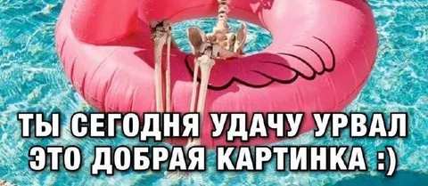 Скелеты на розовом круге