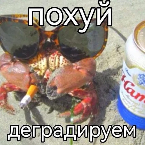 Похуй, деградируем вместе