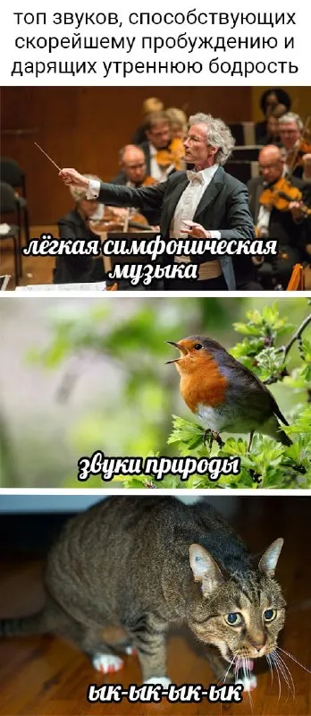 Топ звуков для пробуждения