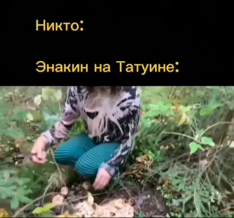 Энакин собирает грибы на Татуине