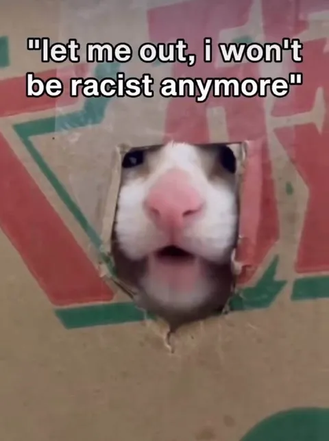Let Me Out of the Box