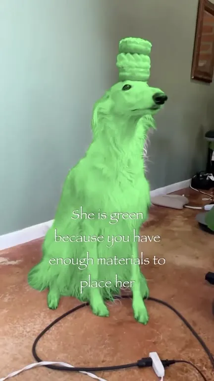 Green Dog Has Enough Materials