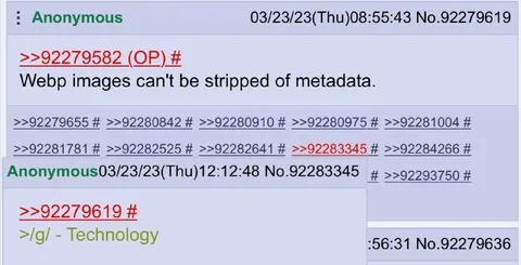 WebP Metadata Cannot Be Stripped