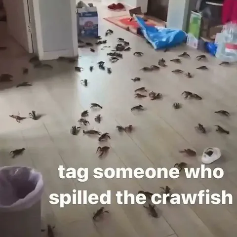 Someone Spilled the Crayfish