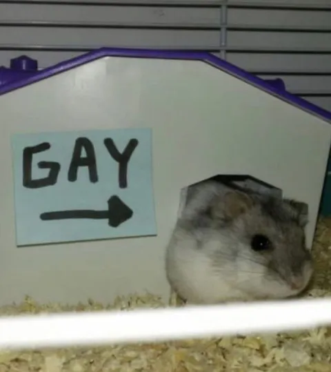 Gay Hamster Sign