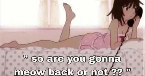 Meow Back or Not