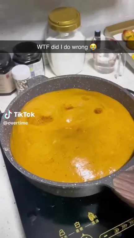 WTF Did I Do Wrong Cooking