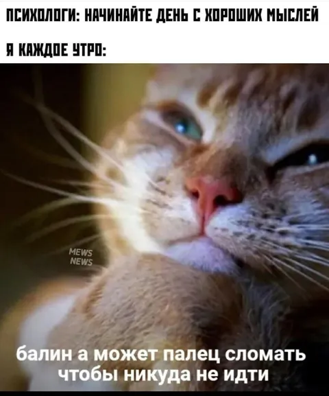 Кот с утренними плохими мыслями