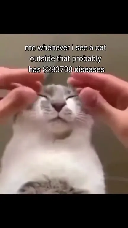 Cat With 8283738 Diseases