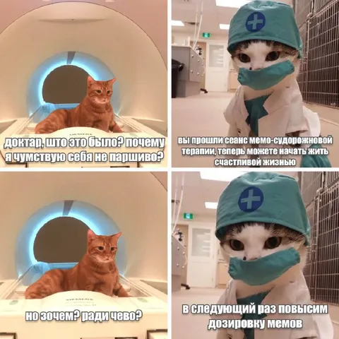 Кот после мемотерапии