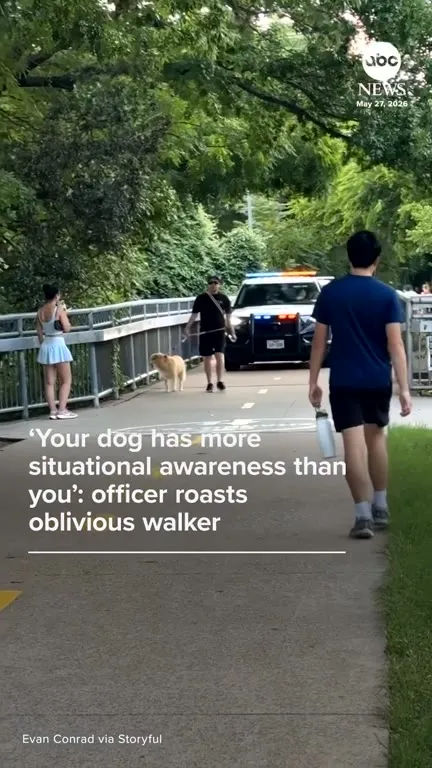 Dog Has More Situational Awareness