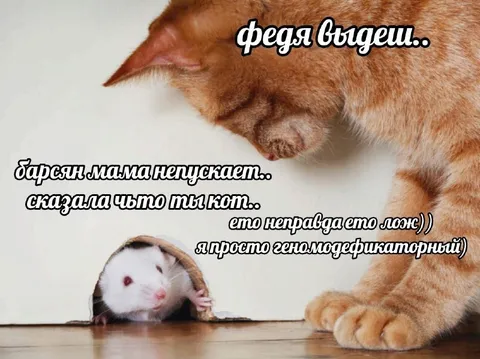 Федя, выйдешь?