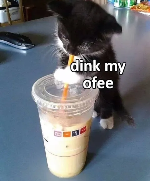 Cat Drinking My Coffee