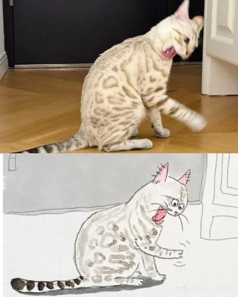 Кот и его рисунок