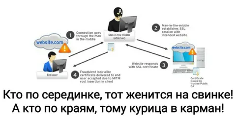 Кто по серединке, тот женится